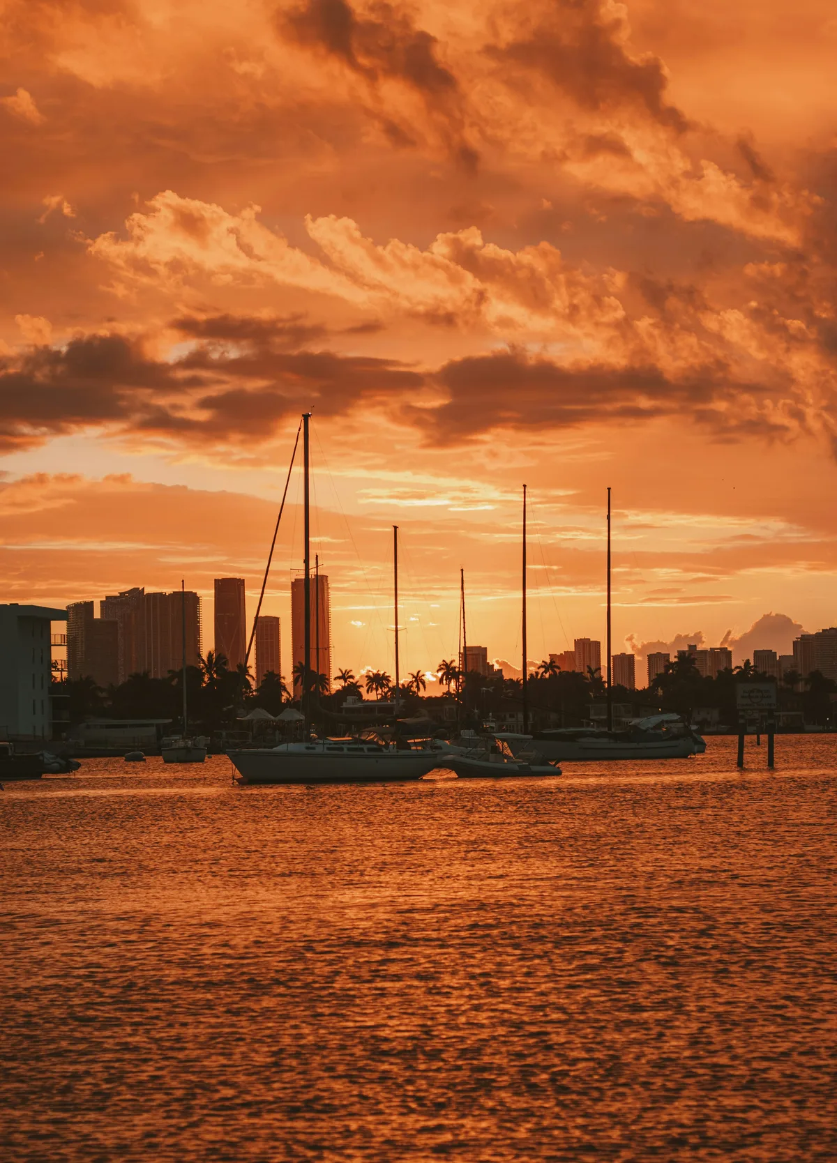 Private Miami Boat Tour: Sunset, Snorkeling & Dolphin Watching — photo 2