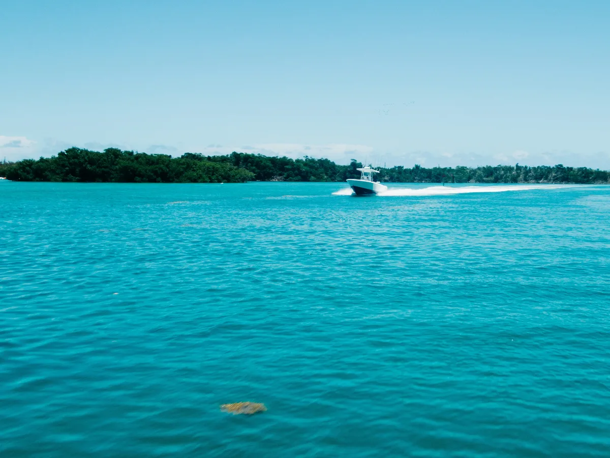 Private Miami Boat Tour: Sunset, Snorkeling & Dolphin Watching — photo 4