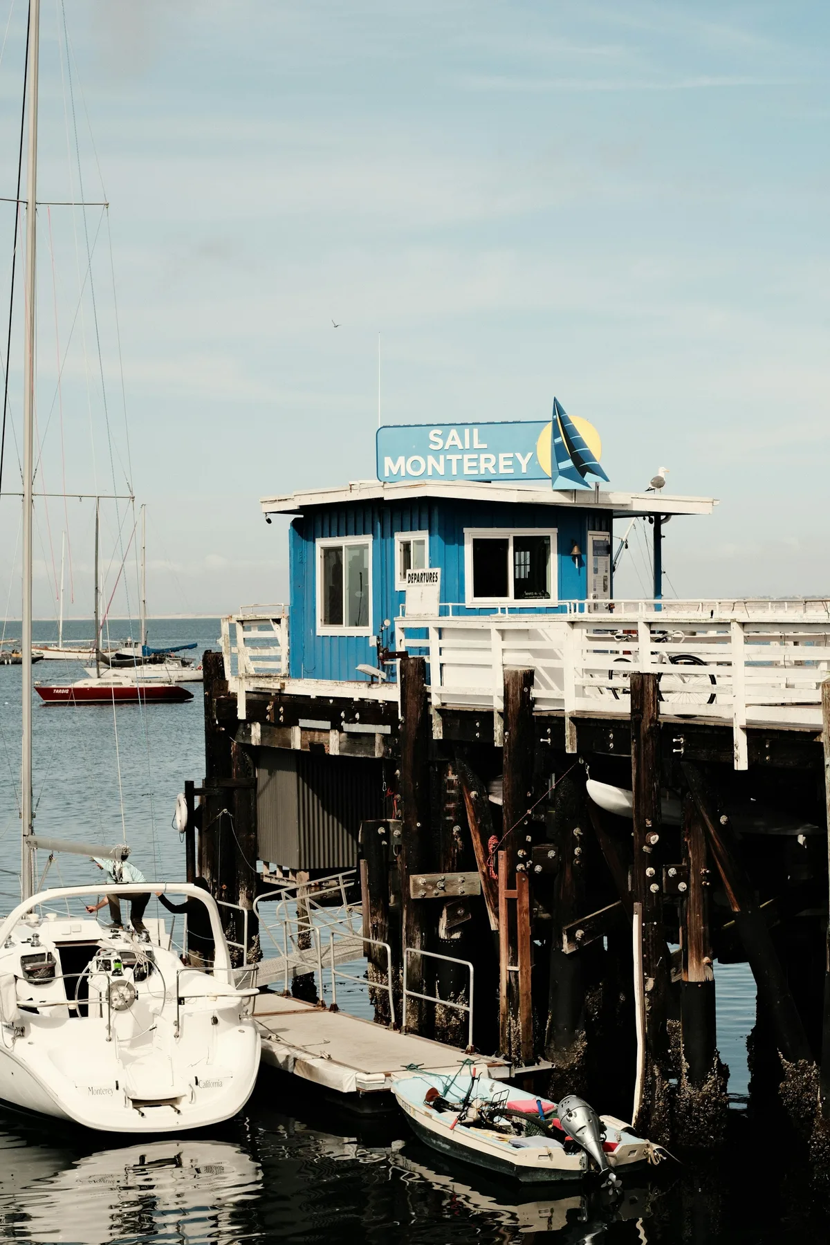 Monterey Bay Whale Watching Tour — photo 4