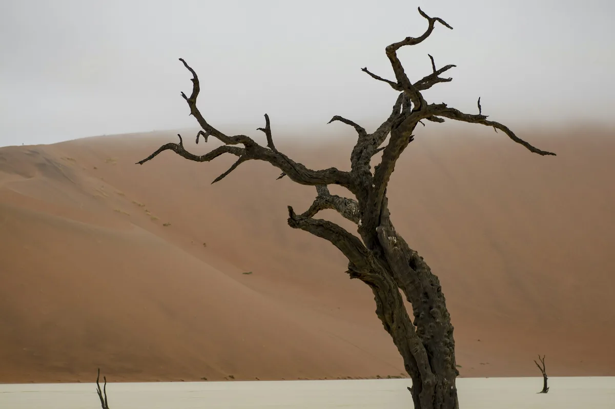 Namibia Self-Drive: From Desert Dunes to Thundering Falls (20 Days) — photo 3
