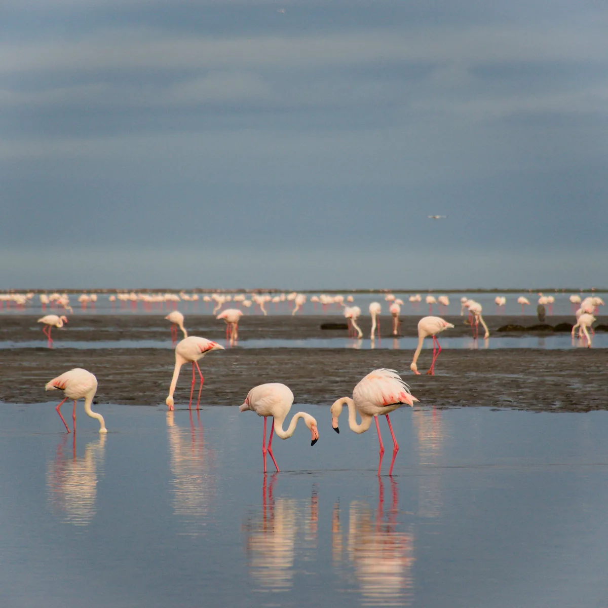 Family Self-Drive: Namibia's Wonders from Windhoek to Wildlife (14 Days) — photo 5