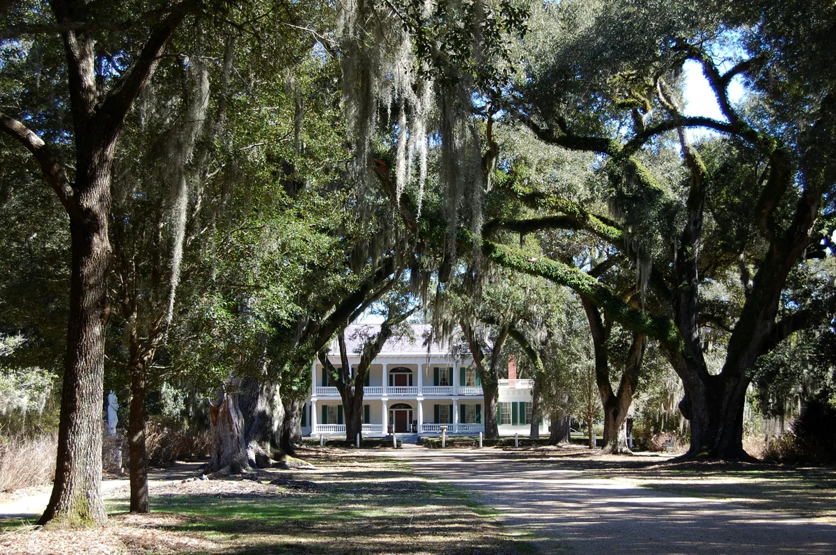 New Orleans Plantation Tour with Private Transportation — photo 1