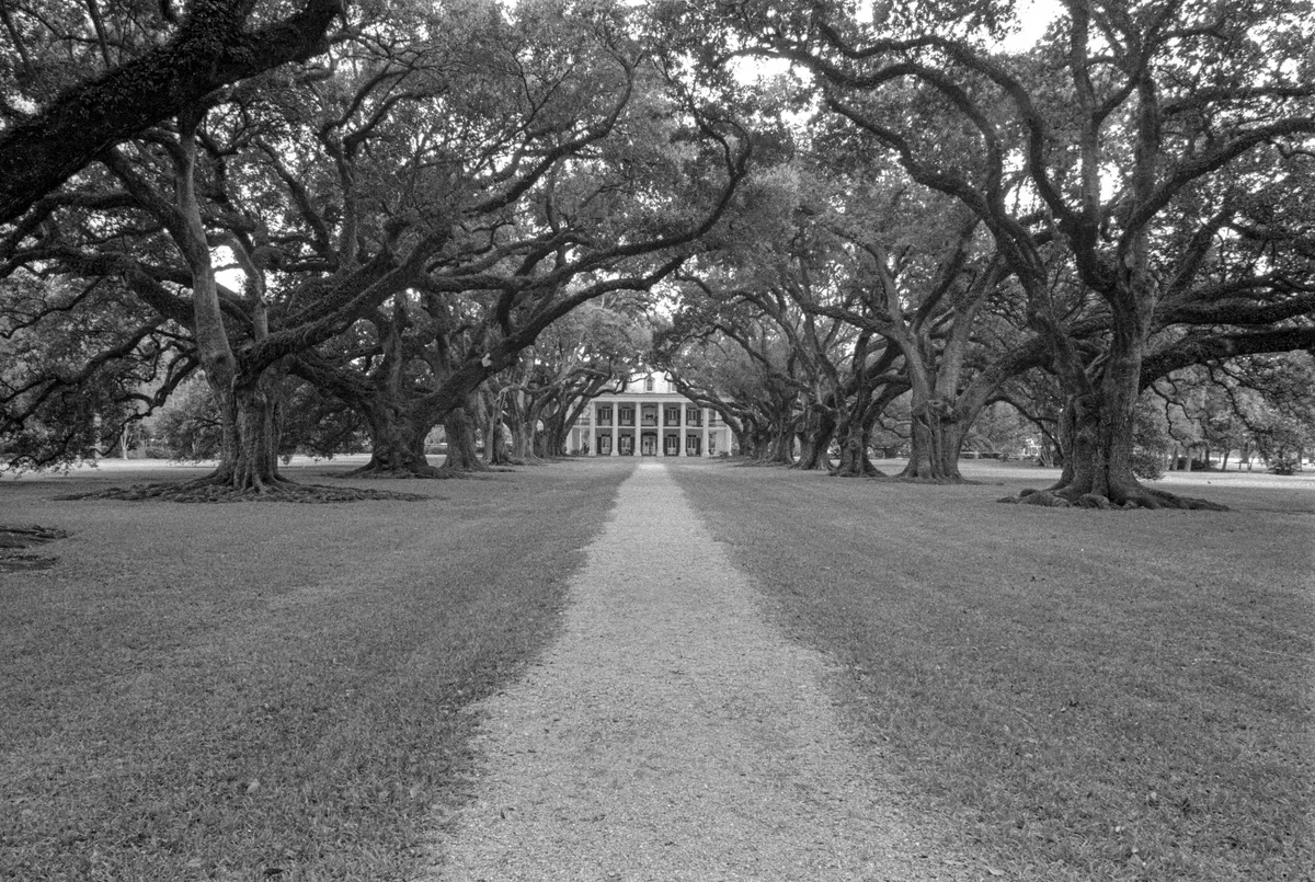 New Orleans Plantation Tour with Private Transportation — photo 2