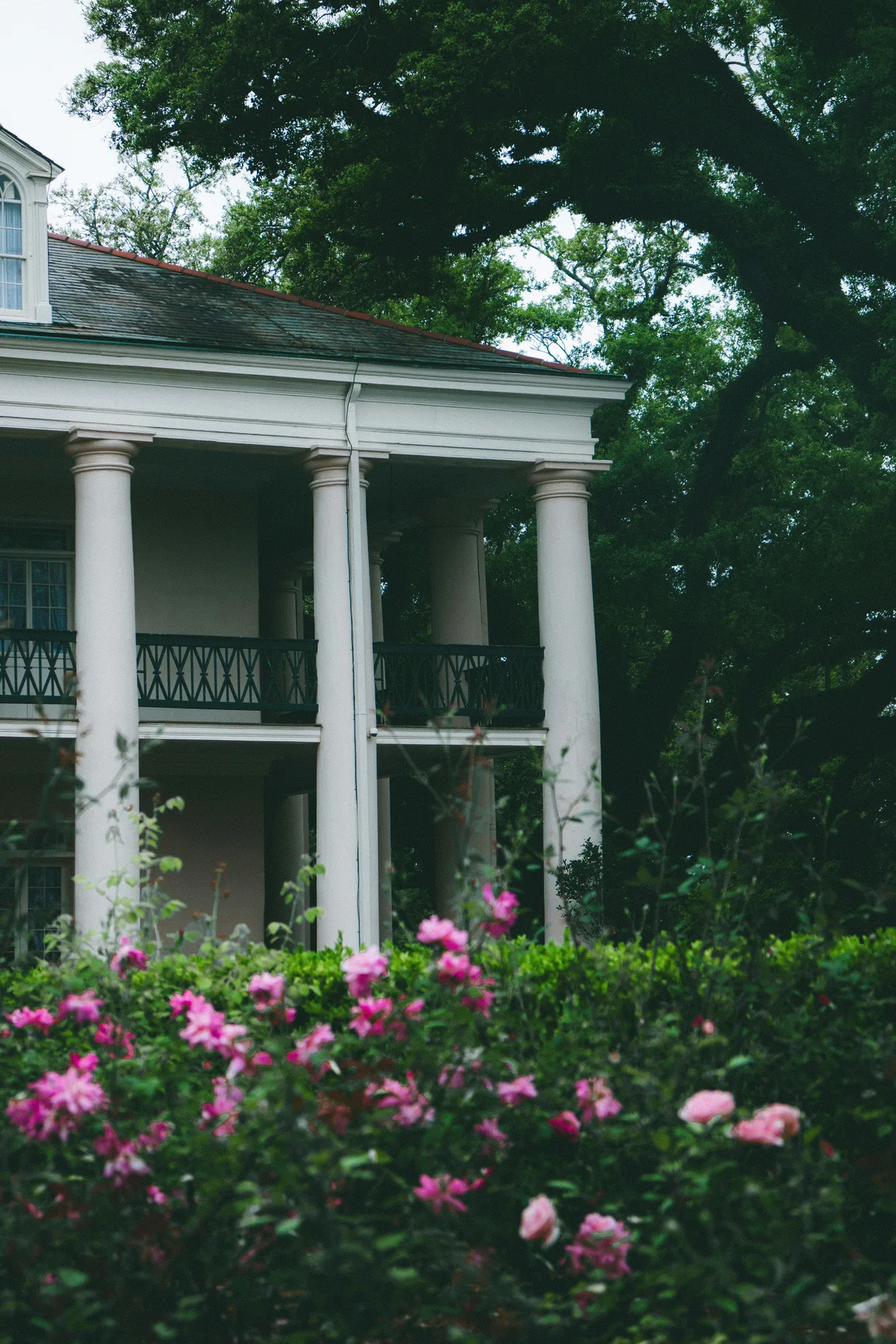 New Orleans Plantation Tour with Private Transportation — photo 4