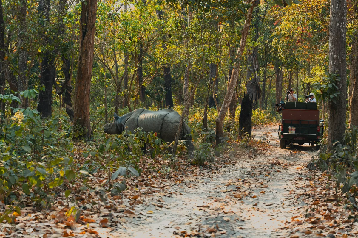 14-Day Himalayas Tour: Best of Nepal & Bhutan — photo 3