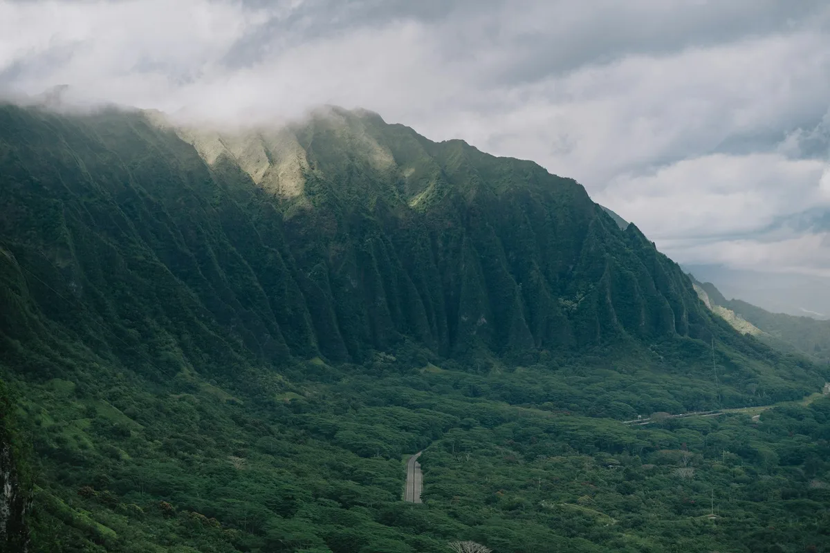 Custom Island Tour, Private Tour of Oahu — photo 2
