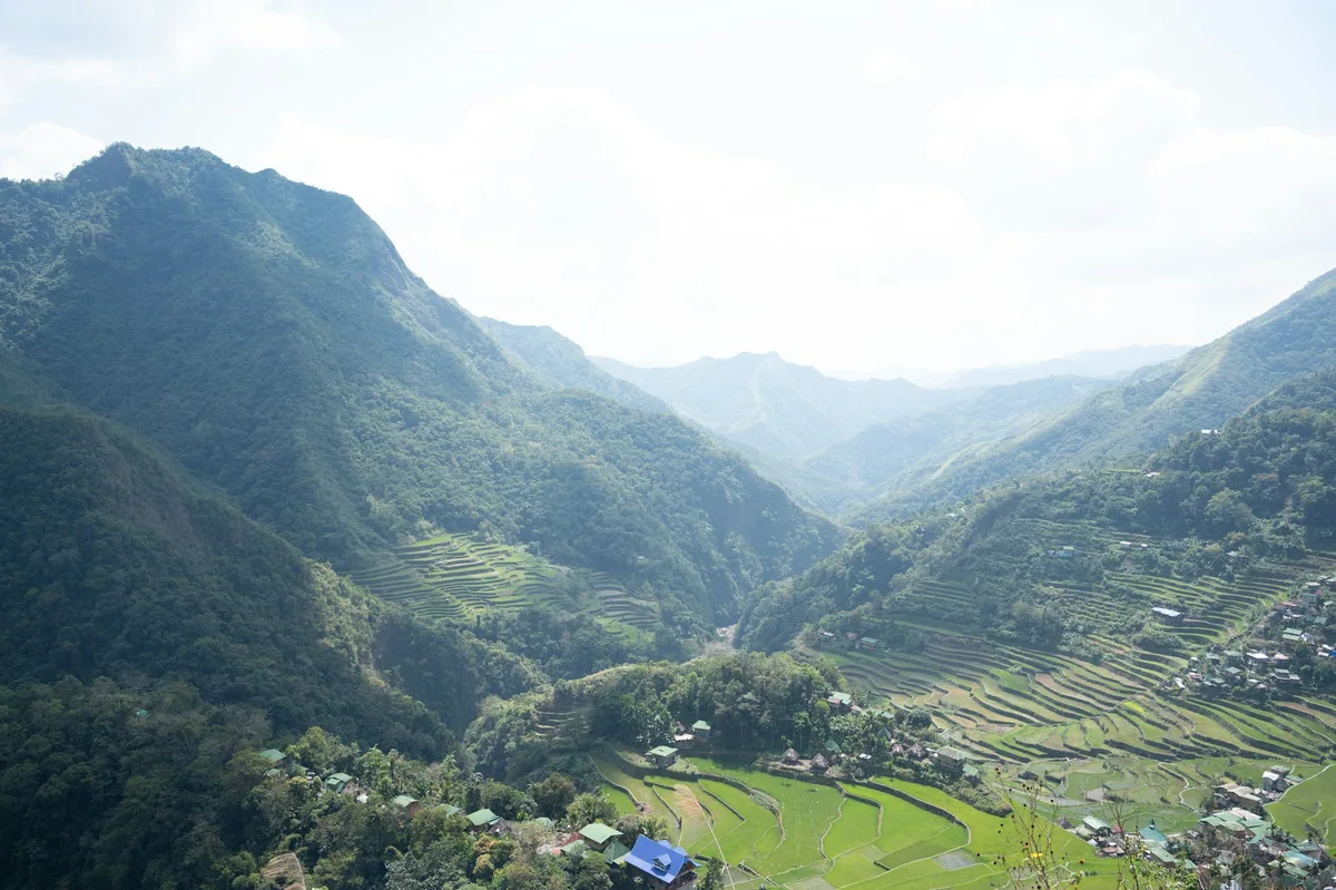 Philippines Rice Terraces to Wreck Diving: A 14-Day Adventure — photo 1