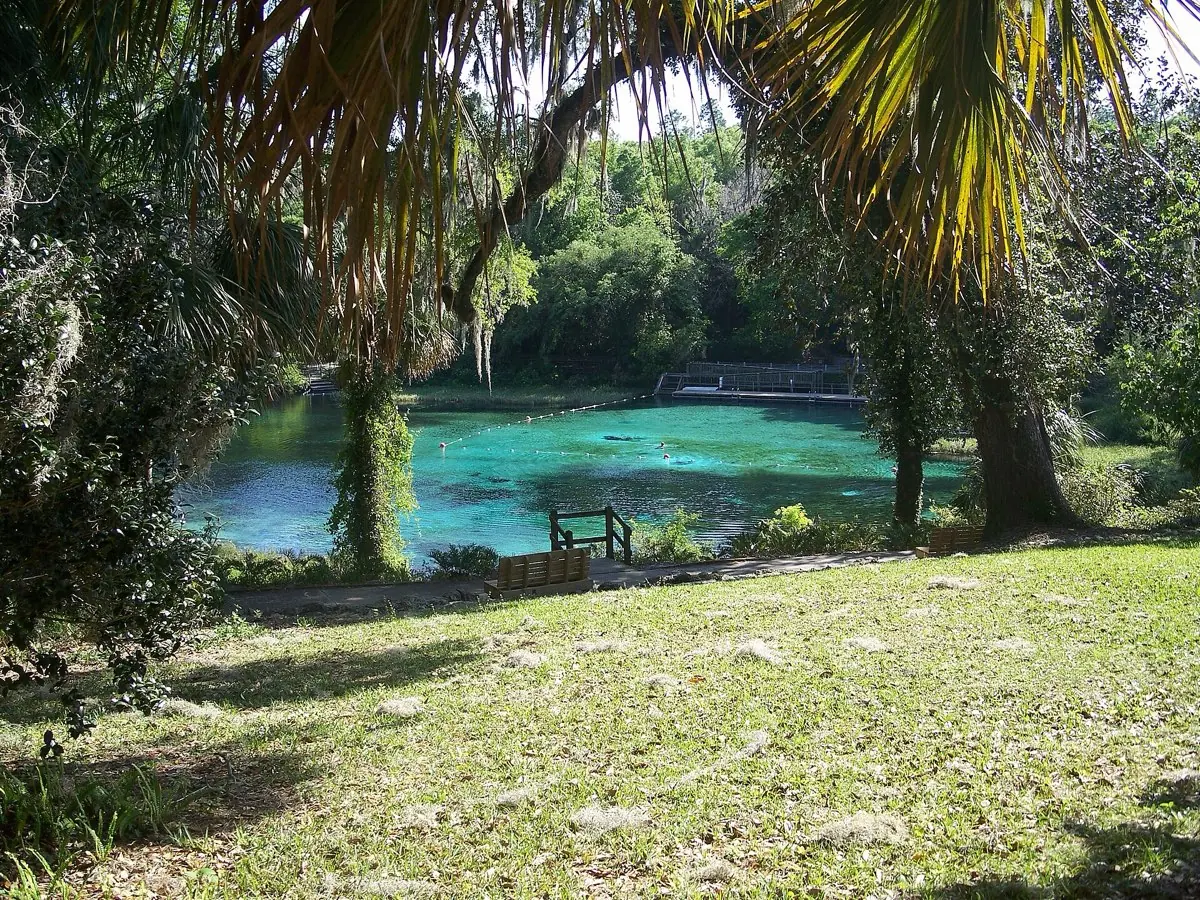 Rainbow Springs Kayak & Snorkel Adventure — photo 5