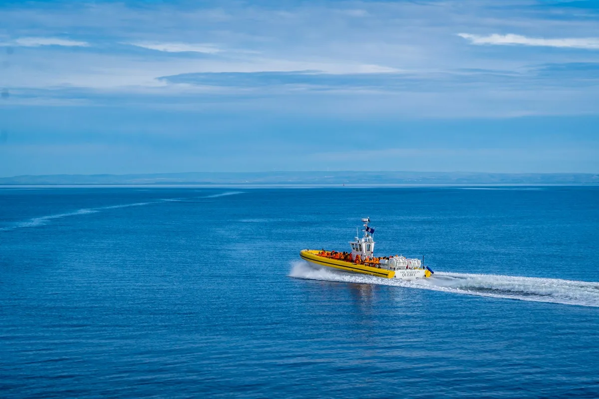Private Whale Watching in San Diego on a Premium Zodiac — photo 1