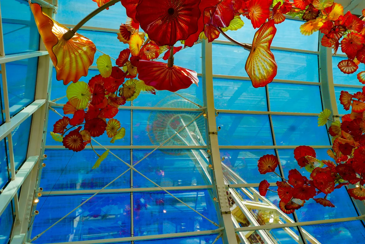 Seattle Private Highlights Tour — photo 2