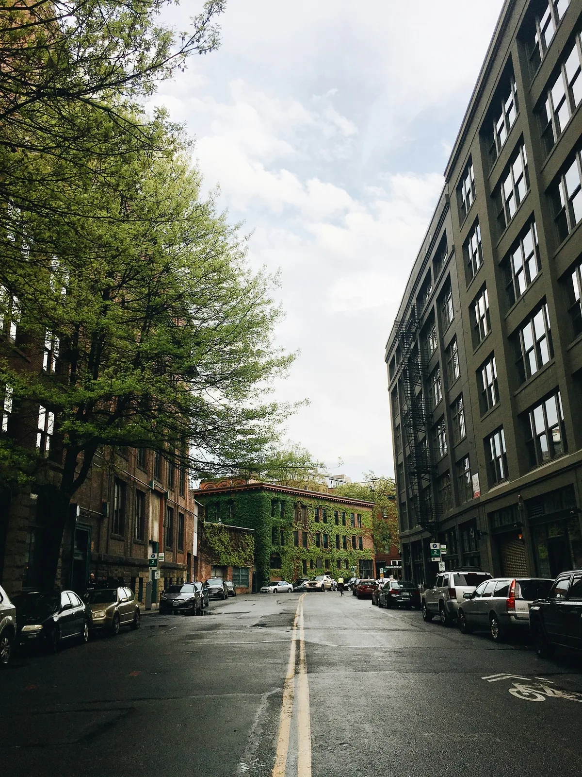 Seattle Private Highlights Tour — photo 3