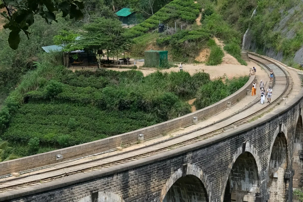 Sri Lanka Explorer: Nature & Wildlife — photo 1