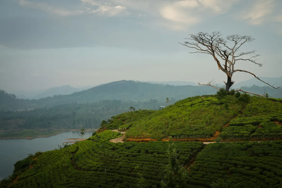Family Adventure in Sri Lanka — photo 5
