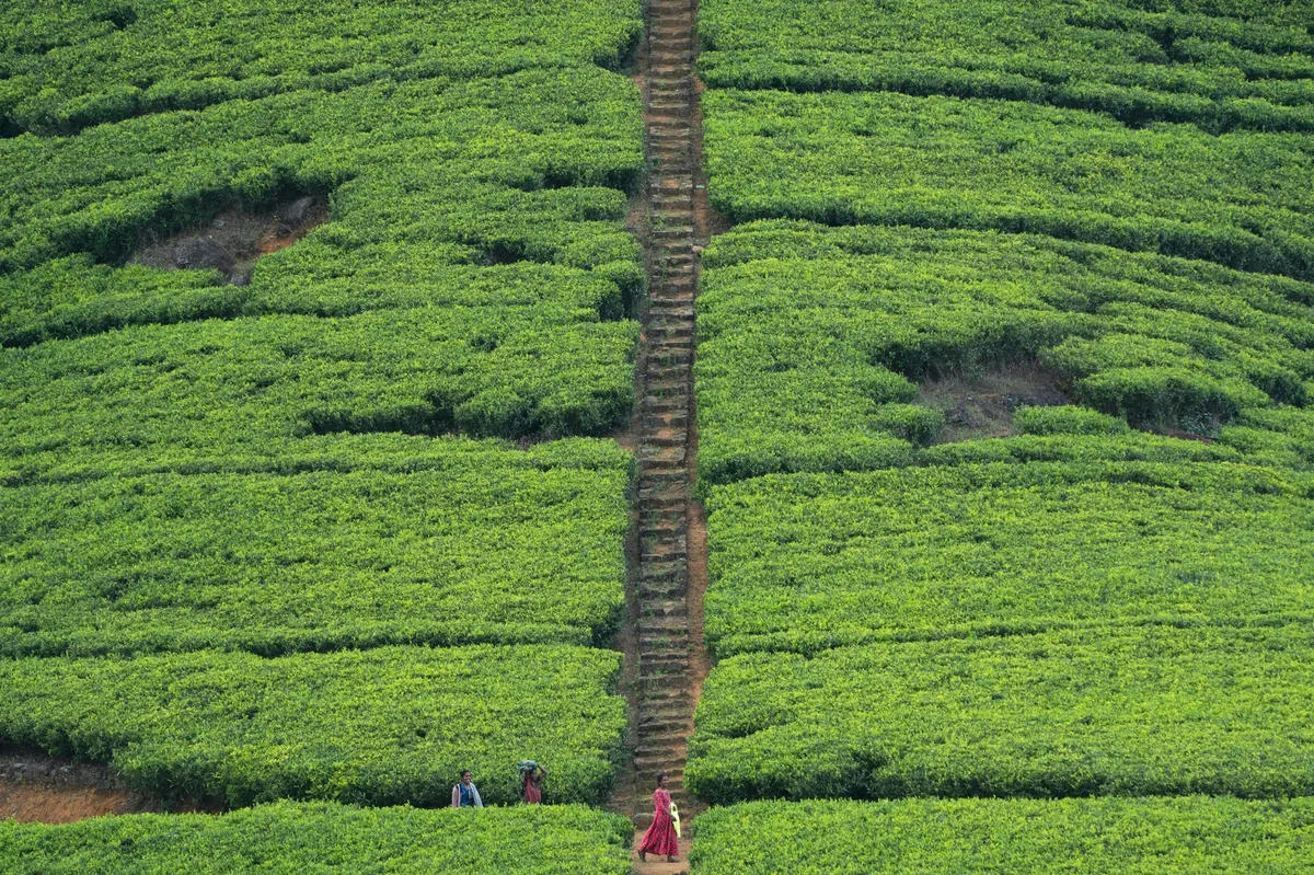 Sri Lanka Grand Discovery — photo 3