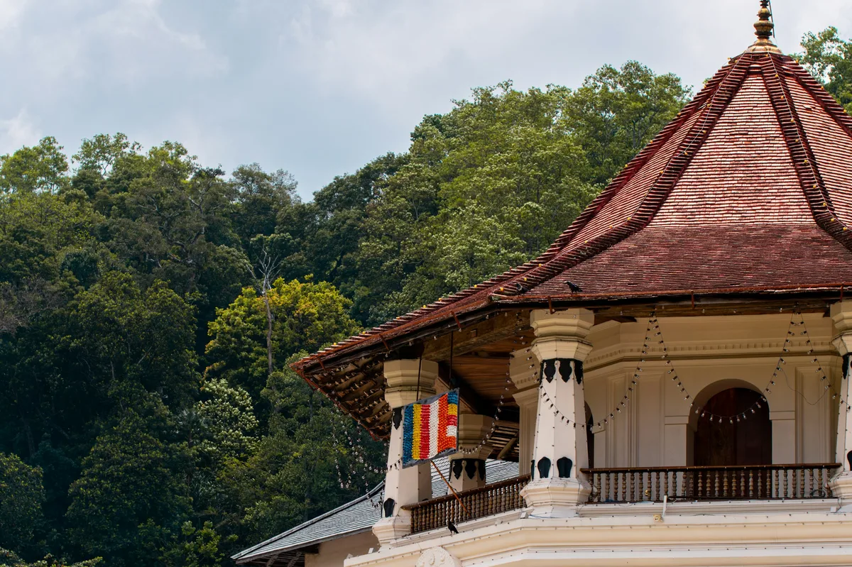 Luxury Sri Lanka Escape — photo 4