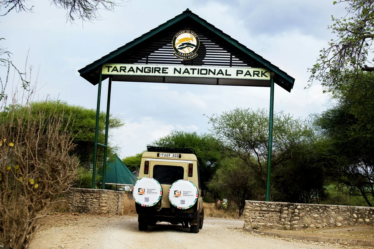 Luxury Tanzania Safari with a Sunrise Balloon Flight: 7 Days — photo 4