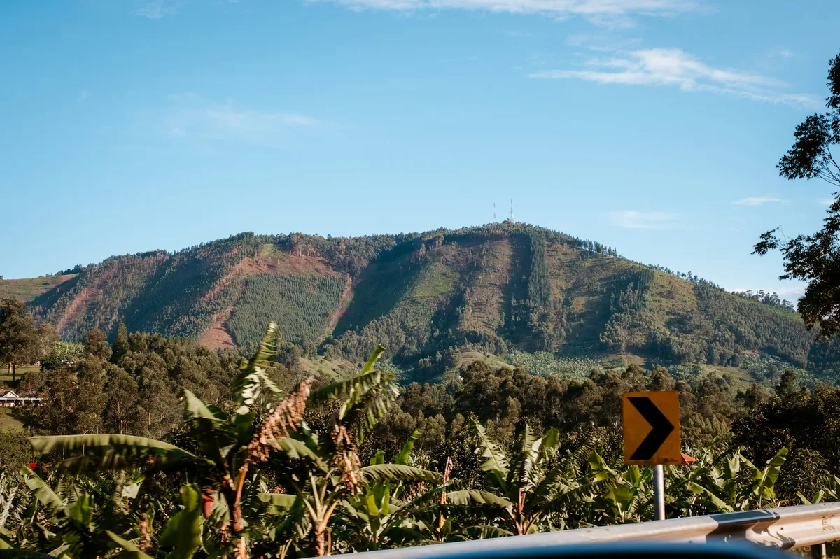 Uganda's Rwenzori Mountains: Trekking, Chimps & the Kazinga Channel — photo 1