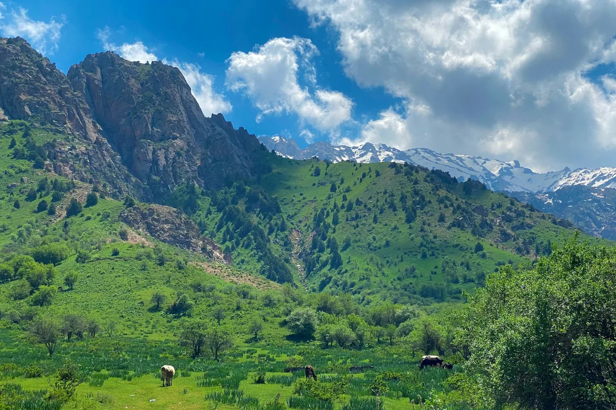 Uzbekistan Grand Tour: 16 Days of Discovery — photo 1