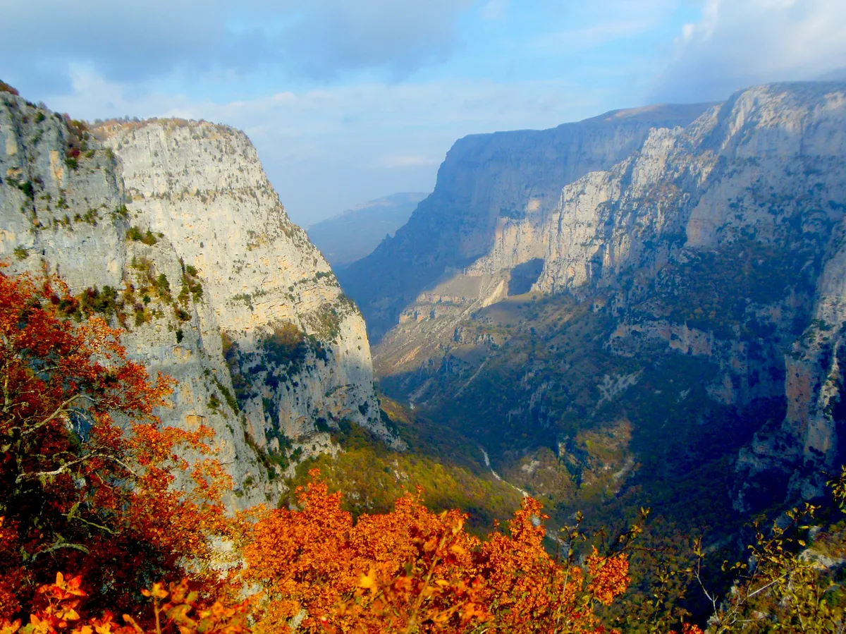 The forested slopes of Vikos Gorge in the Zagori region of Epirus, Greece
