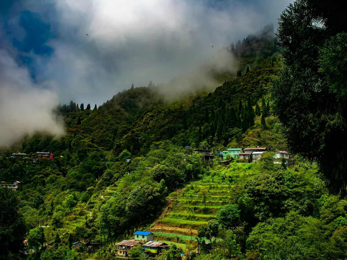 A hill town nestled in the misty green hills of Darjeeling