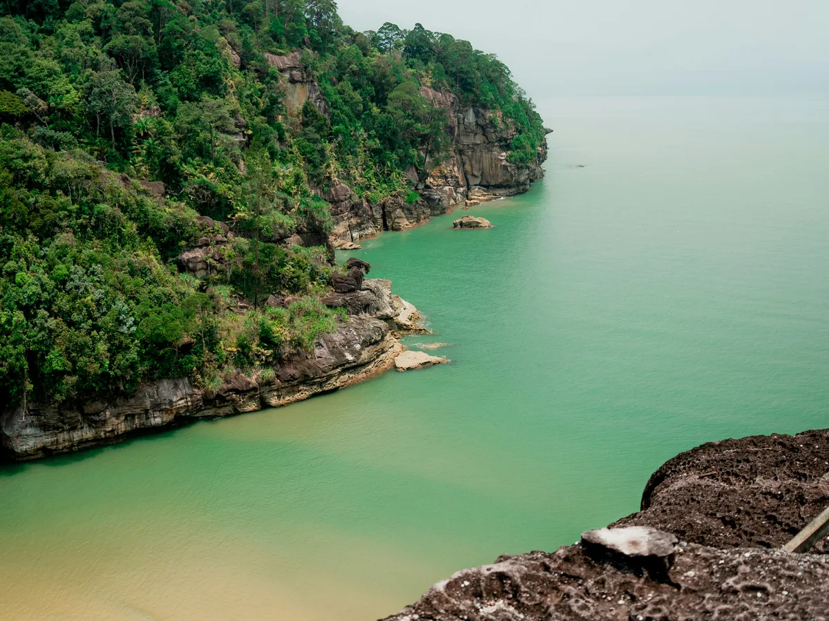 Misty rainforest and mangrove coastline of Bako National Park, Sarawak, Malaysia