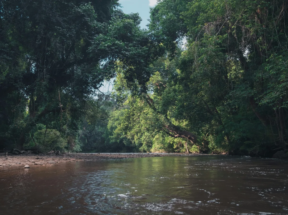 Lata Berkoh cascades through the rainforest of Taman Negara National Park, Malaysia