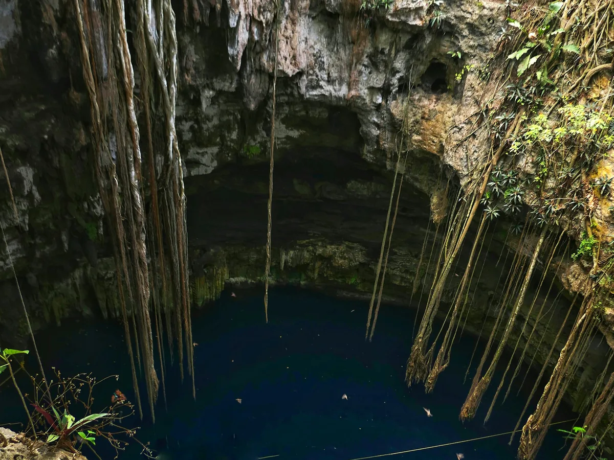 A cenote sinkhole with hanging tree roots over blue water in the Yucatan, Mexico