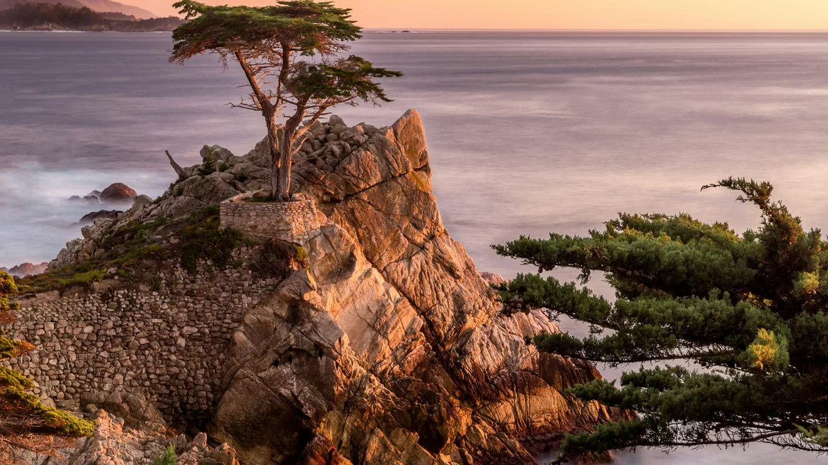 A lone cypress tree on a rocky coastal cliff