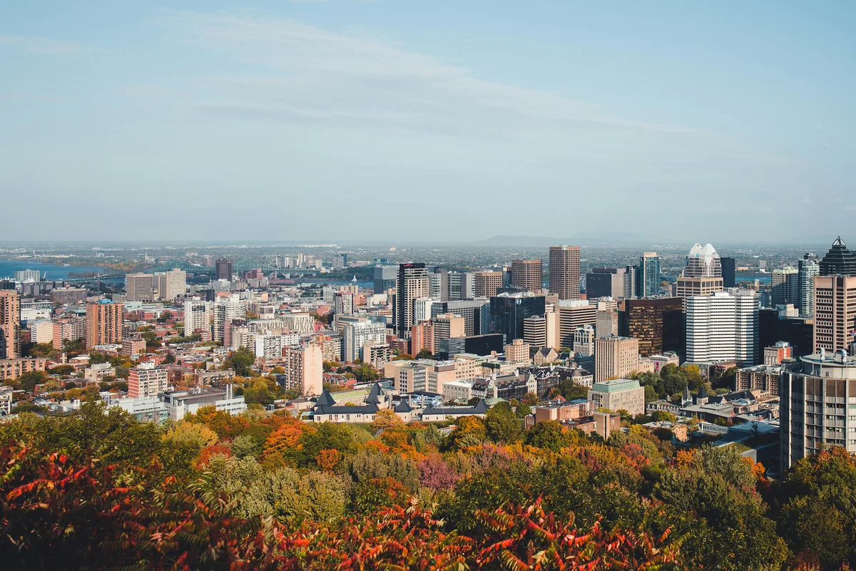Downtown Montreal's skyline framed by fall foliage