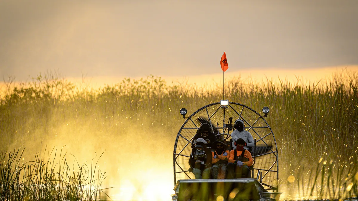 An airboat gliding through a cypress swamp