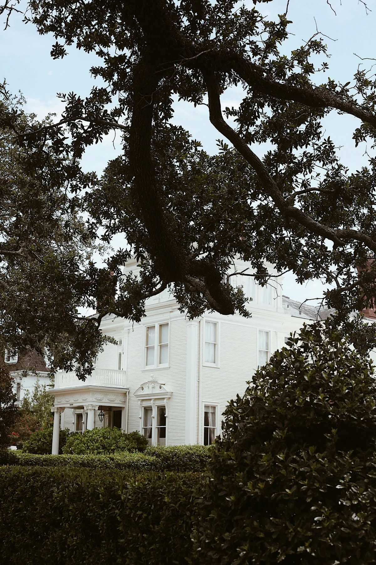A historic house with a large oak tree in New Orleans' Garden District