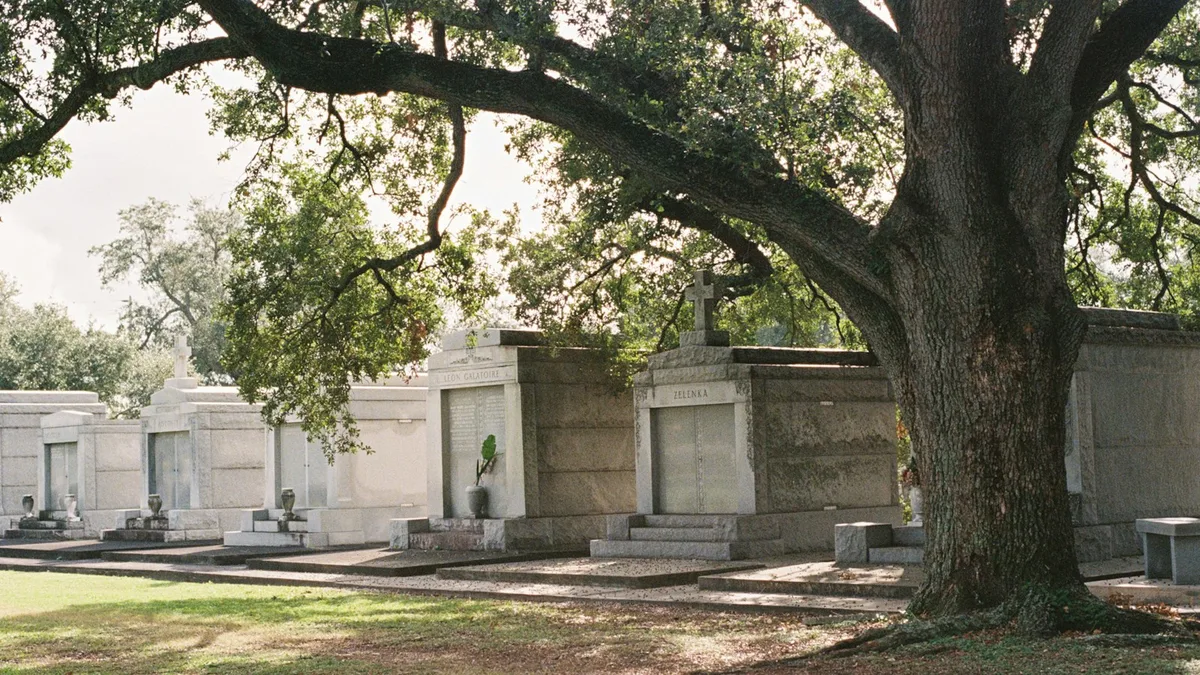 Ornate historic mausoleums in a New Orleans cemetery