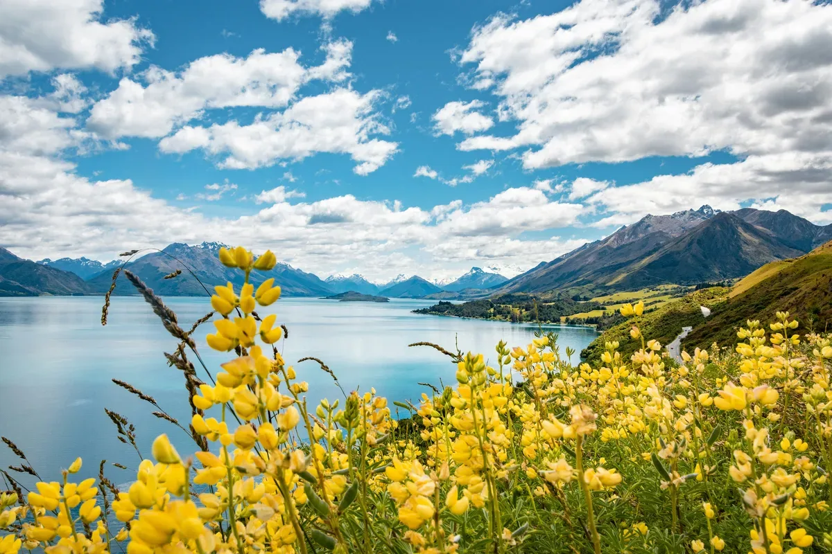 Vineyards in the Central Otago wine region near Queenstown, New Zealand