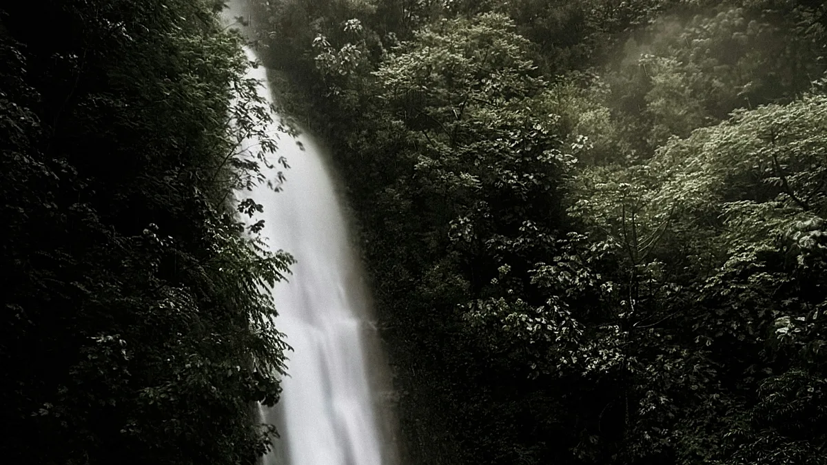A misty tropical waterfall surrounded by lush rainforest