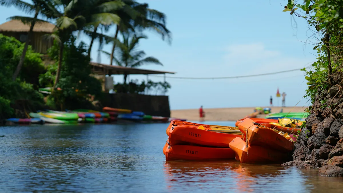 Kayaks resting on the bank of a calm tropical river