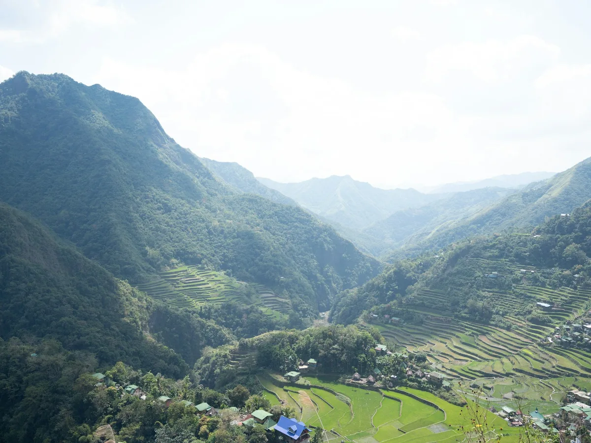 Terraced rice paddies in the mountains near Banaue, Philippines