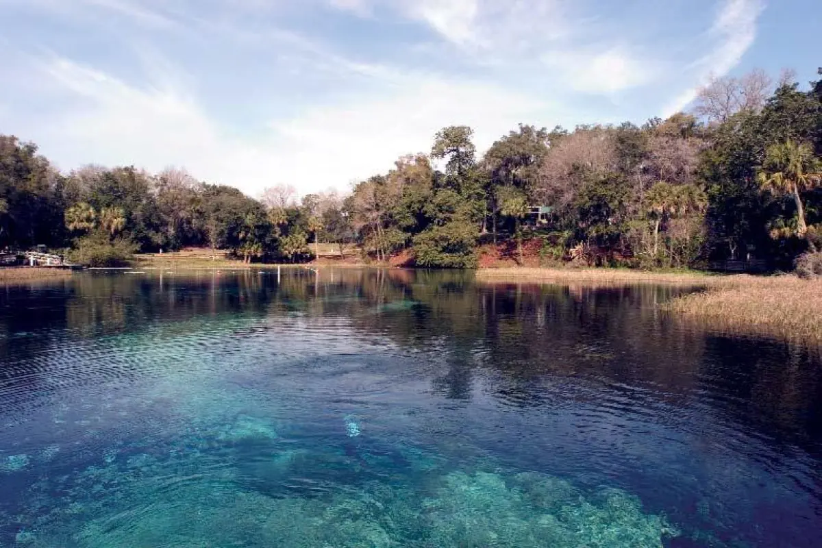Clear spring water at Rainbow Springs Florida