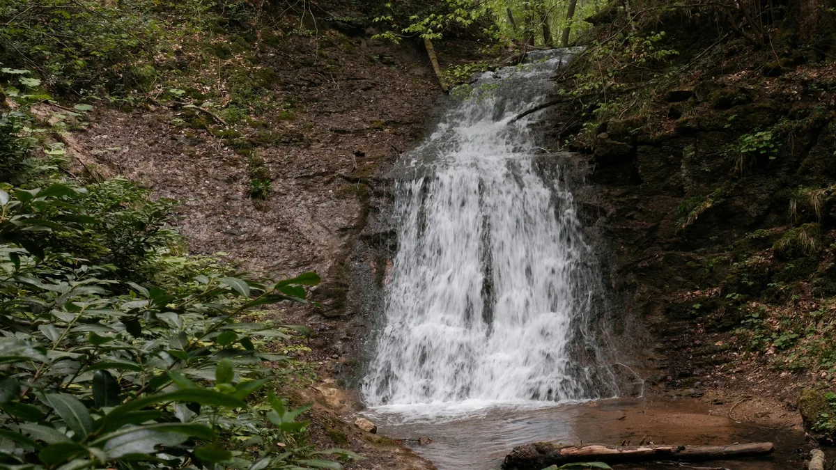 A hiking trail leading to a forest waterfall