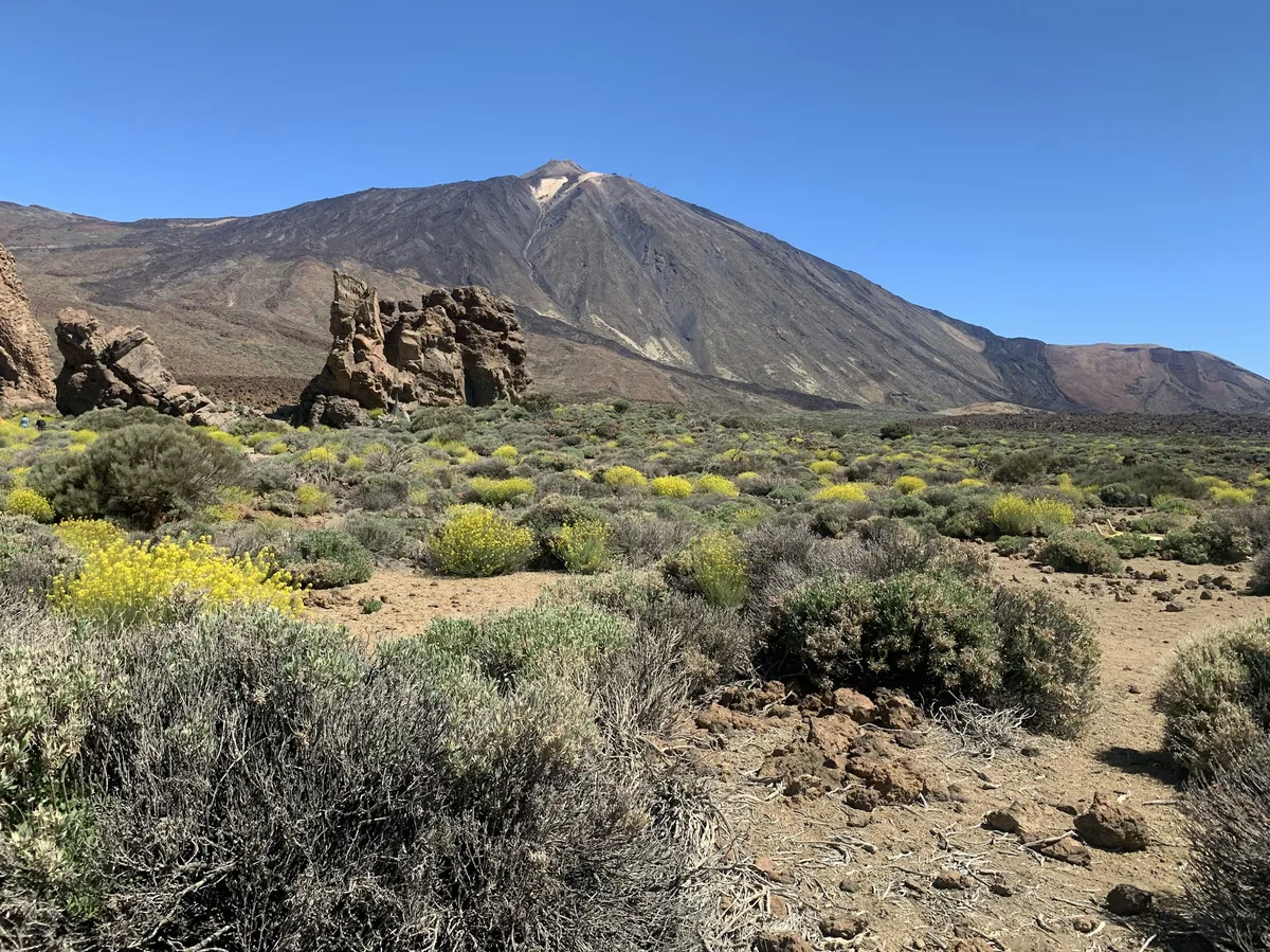 The volcanic landscape of Teide National Park, Tenerife, Spain