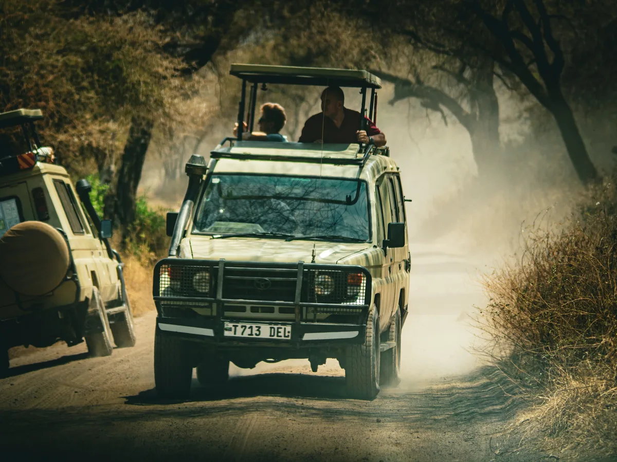 A private 4x4 safari vehicle on a game drive in Lake Manyara National Park, Tanzania