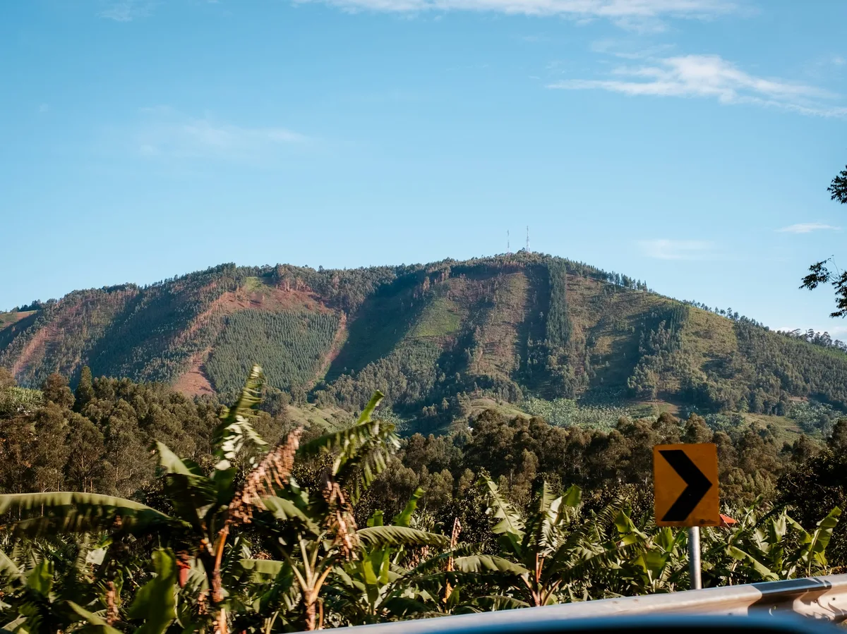 A mountain range in western Uganda