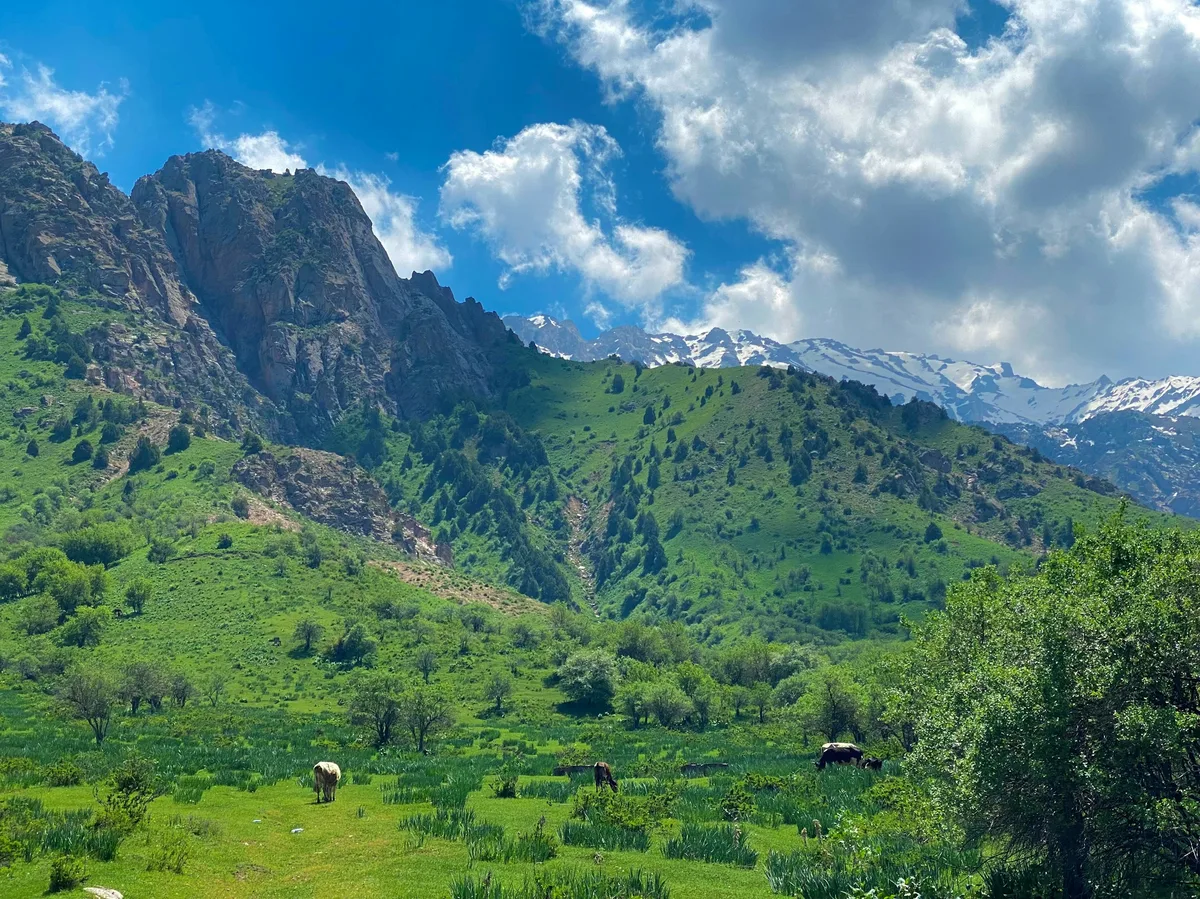 The green slopes of the Chimgan Mountains near Tashkent, Uzbekistan