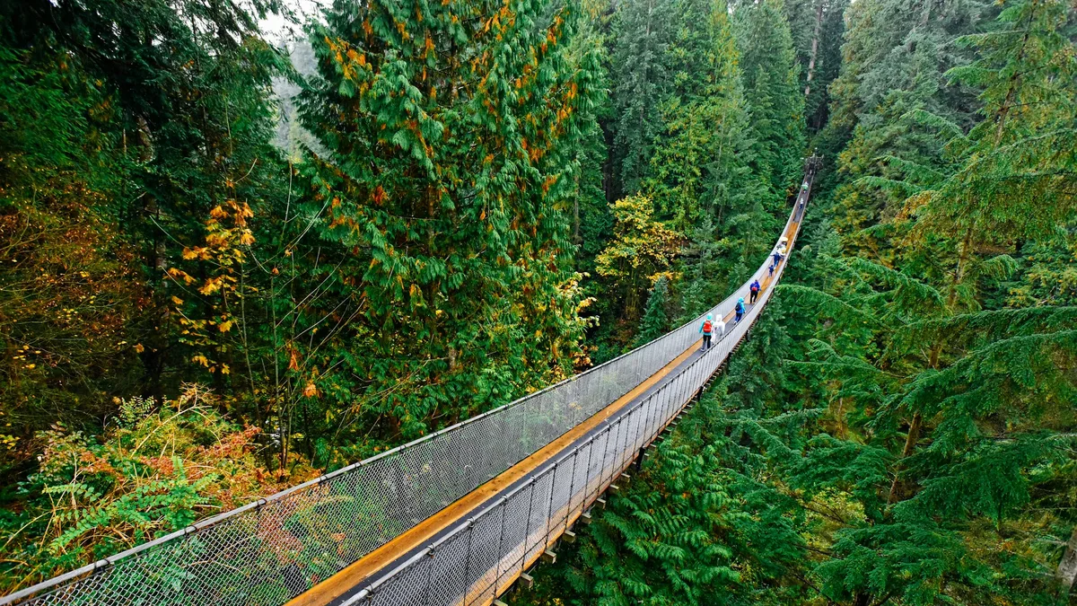 A wooden suspension bridge crossing a deep forested canyon